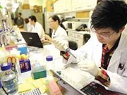 Ban hành Chiến lược phát triển KH, CN và đổi mới sáng tạo đến năm 2030